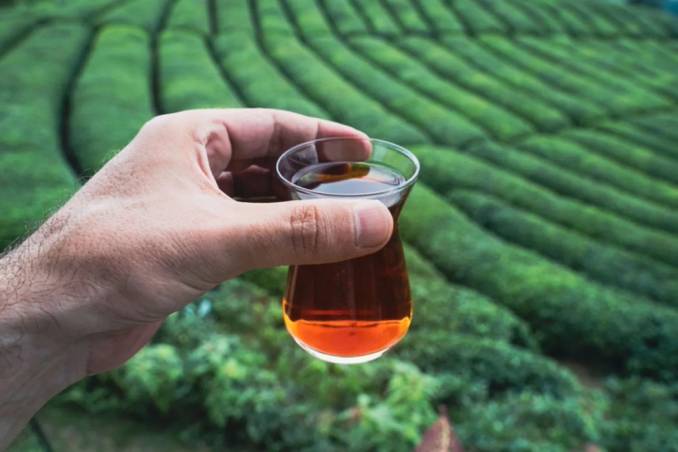 Çay Kaç Saat İçinde Tüketilmelidir?